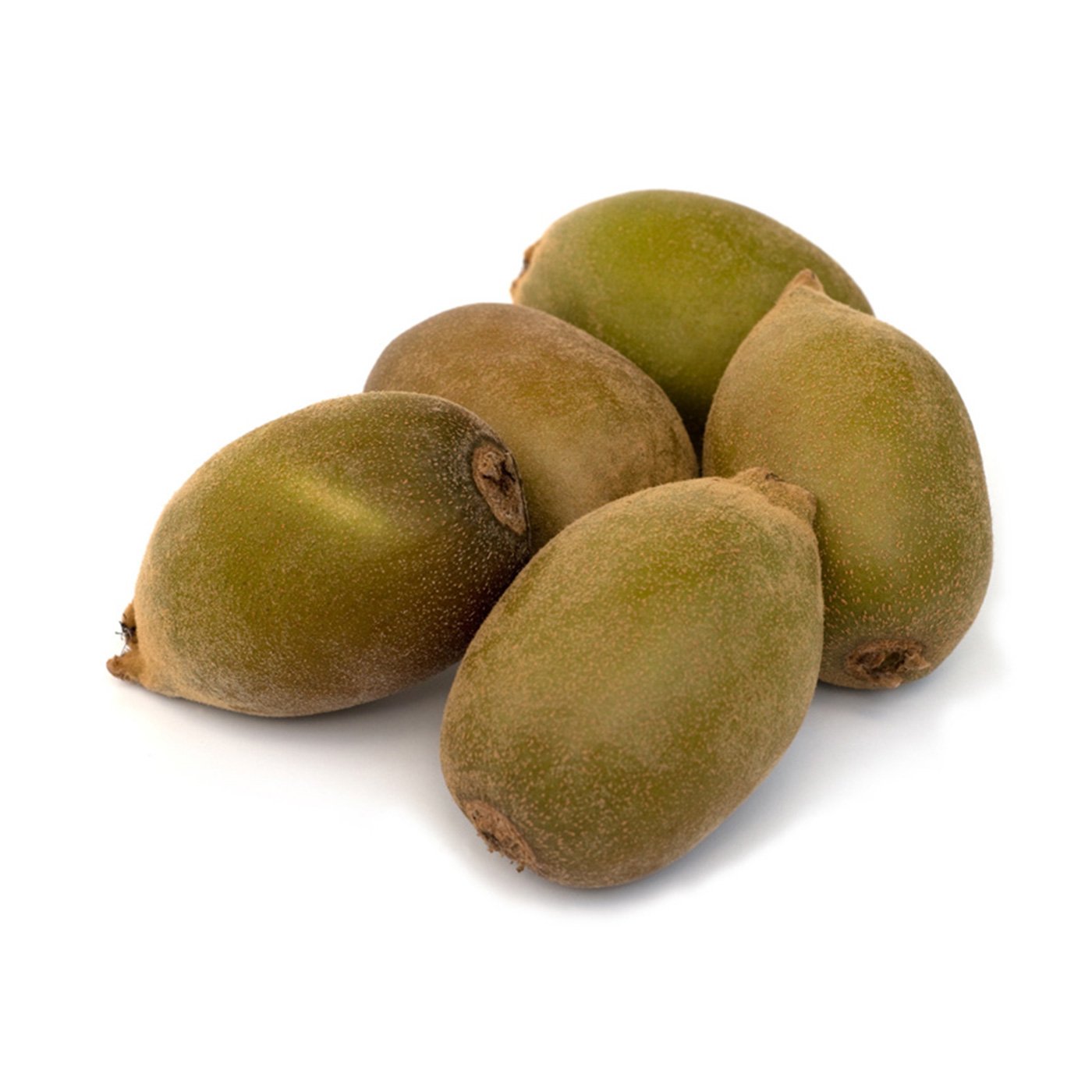 25681-kiwi-photo 25681-kiwi-photo