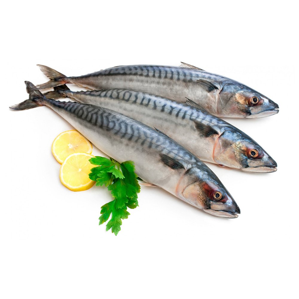 mackerel-three-fish-lemon-parsley-white-background-2880×1800