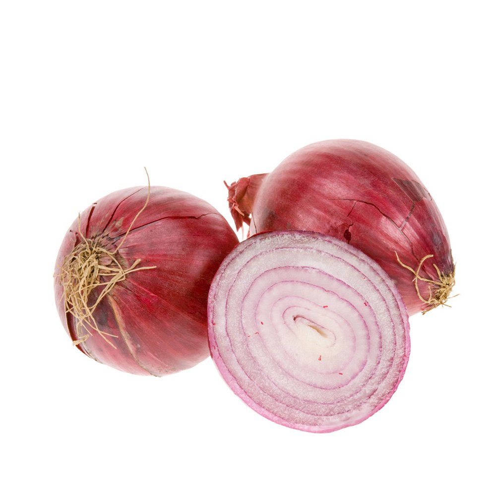 24766-onion-picture-material 24766-onion-picture-material