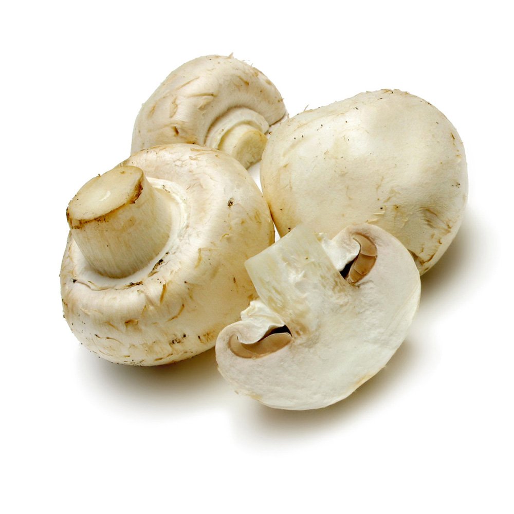 25029-mushroom-picture-material